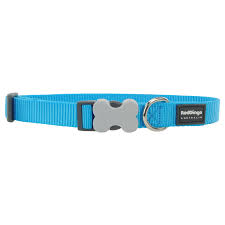 RED DINGO DOG COLLAR CLASSIC TURQUOISE