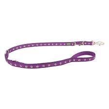 RED DINGO DOG LEAD DESERT PAWS PURPLE