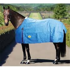 HORSEMASTER RIPSTOP UNLINED CANVAS RUG BLUE