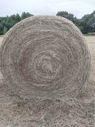 HAY ROUND 5FT NATIVE GRASS