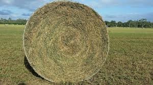 HAY ROUND 4FT LUCERNE