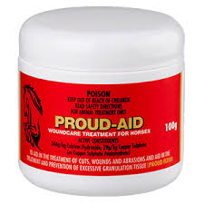 PHARMACHEM PROUD AID 100G