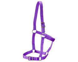 ECONO STABLE HALTER PURPLE