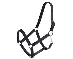 ECONO STABLE HALTER NAVY BLUE