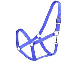 ECONO STABLE HALTER BLUE