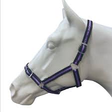 EUREKA ESSENTIAL HALTER PONY BLACK & LAVANDER