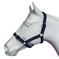 EUREKA ESSENTIAL HALTER PONY BLACK & SKY BLUE