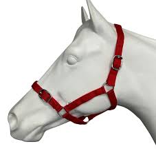 EUREKA ESSENTIAL HALTER PONY RED