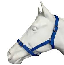 EUREKA ESSENTIAL HALTER PONY ROYAL BLUE