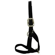 NYLON CATTLE HALTER BLACK CALF