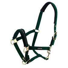 BAINBRIDGE HORSE HALTER GREEN PONY