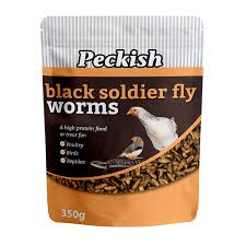 PECKISH BLACK SOLDIER FLY WORMS 350G