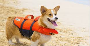 OUTWARD HOUND DOG LIFE JACKET ORANGE