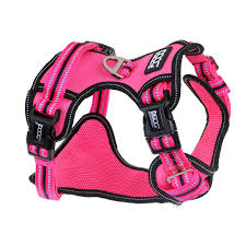 DOOG NEOTECH HARNESS LADY SMALL