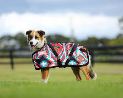 SUPREME DOG COAT AZTEC