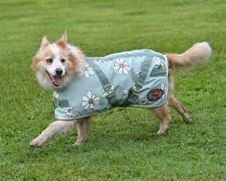 SUPREME DOG COAT OLIVE DAISIES