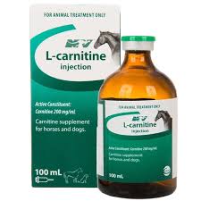 CEVA L-CARNITINE 100ML