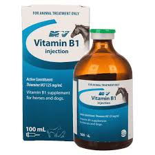 CEVA VITAMIN  B1 INJECTION 100ML