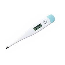 THERMOMETER ELECTRONIC DIGITAL