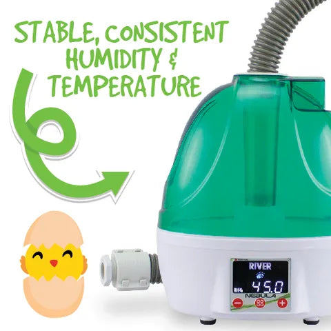 NEBULA ULTRASONIC HUMIDIFIER FOR INCUBATORS