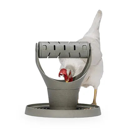 BAINBRIDGE CHICKEN PLAY & FEED TOWER