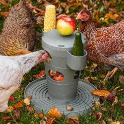 BAINBRIDGE CHICKEN SNACK & FEED TOWER