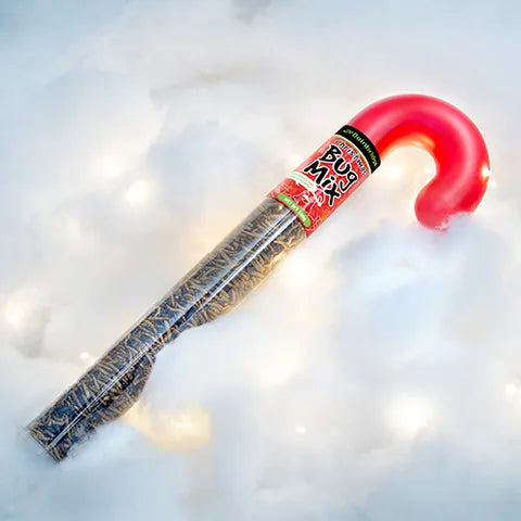 CHRISTMAS CANE BUG MIX