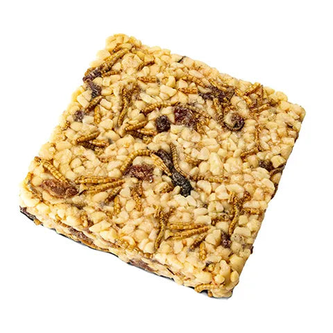 BAINBRIDGE CHICKEN TREAT BLOCK - MEALWORMS, PEANUTS AND RAISINS