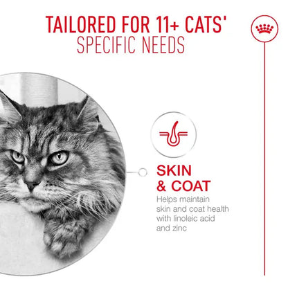 ROYAL CANIN CAT AGEING 11+ WET 85G