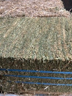 HAY COMPRESSED LUCERNE