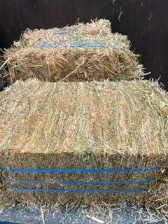 HAY COMPRESSED OATEN