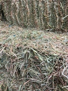 HAY OATEN & RYE MIX