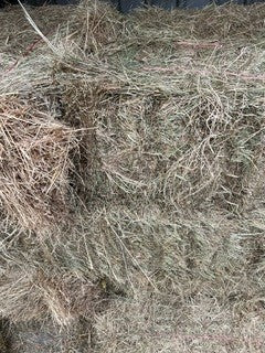 HAY TULLY GRASS