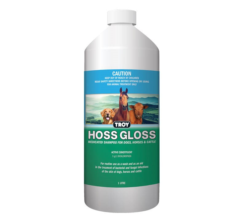 TROY HOSS GLOSS