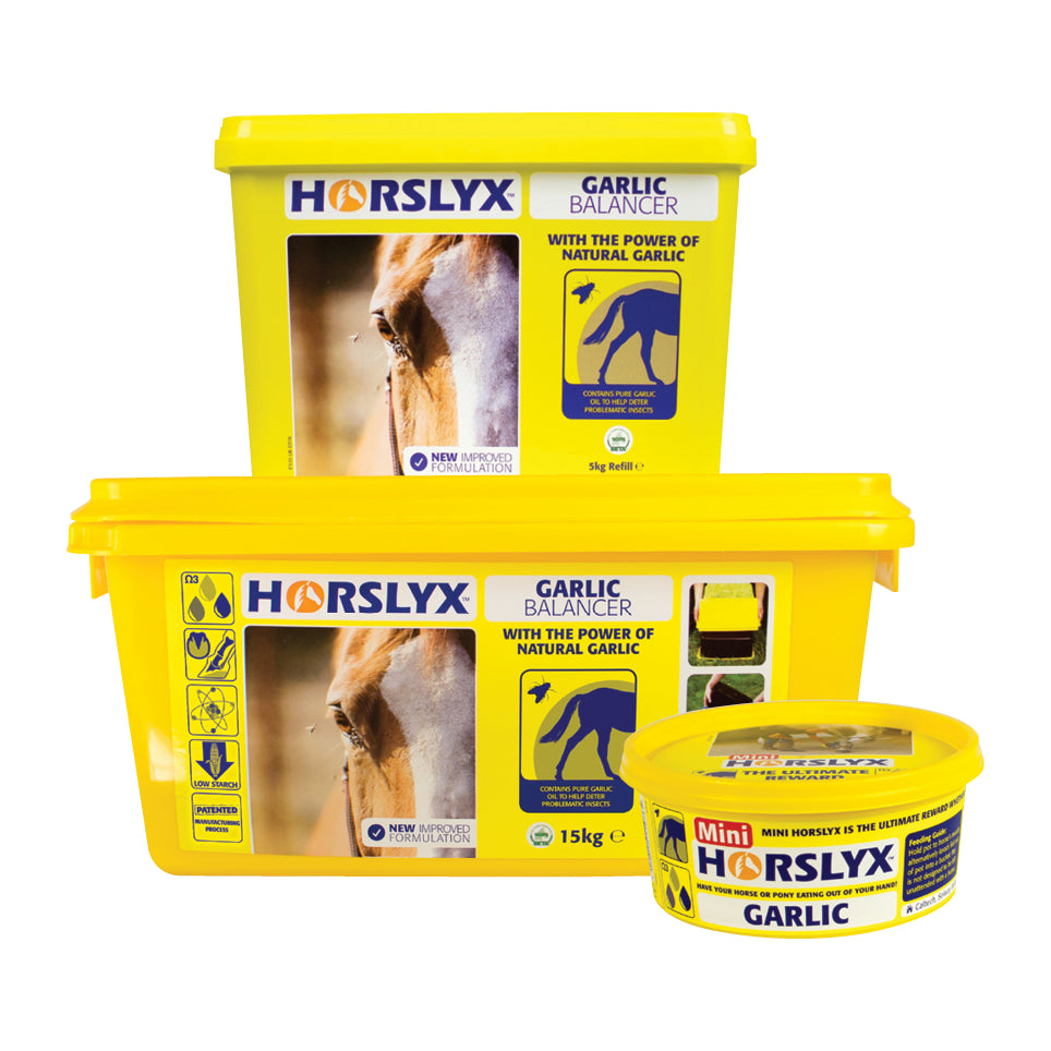 HORSLYX GARLIC MINI 650G