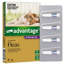 ADVANTAGE CAT 4KG PLUS FLEA'S