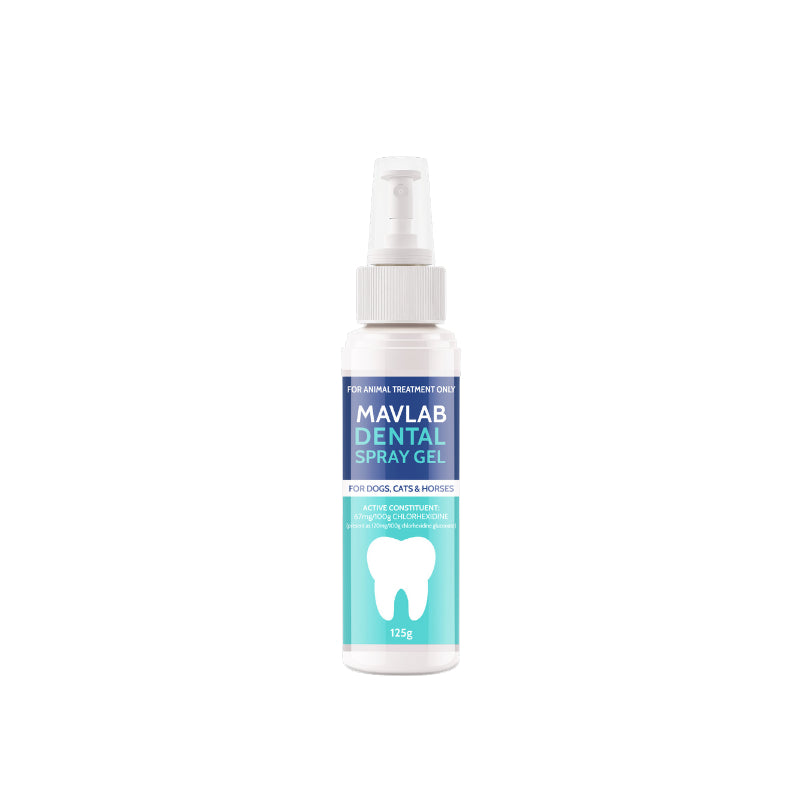 MAVLAB DENTAL SPRAY GEL 125ML