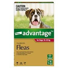 Advantage Spot On For Dogs 10-25kg Fleas 1pk