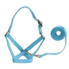 Alpaca Halter & Lead Set