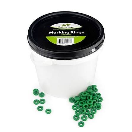 Bainbridge Marking Rings Green 500pk