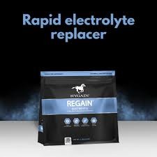 Hygain Regain