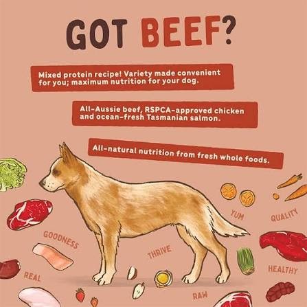 BigDog Wet Food 3kg