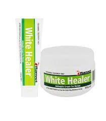 Ranvet White Healer