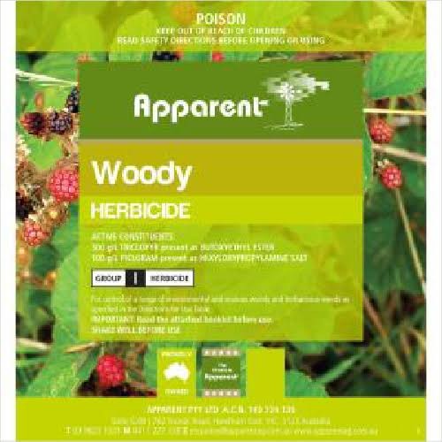 Apparent Woody - Plain