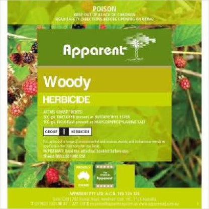 Apparent Woody - Plain
