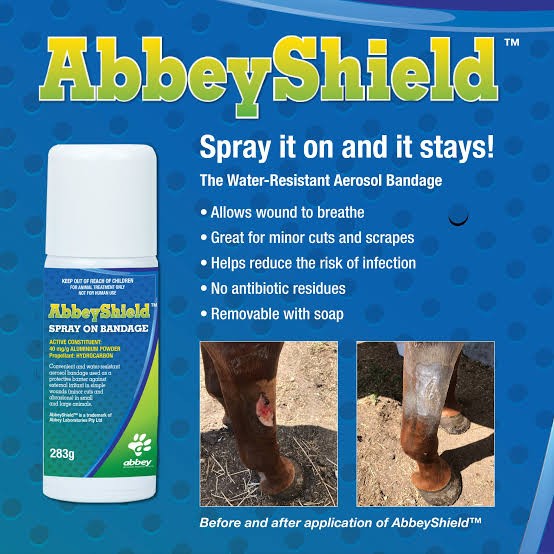 Abbey Shield Spray On Bandage