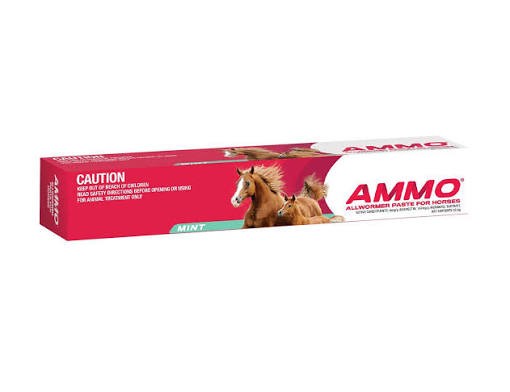 NV Ammo All Womer Horse Paste 32.5g