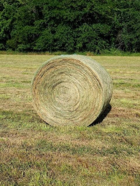 Native Grass Round Bale 4ft