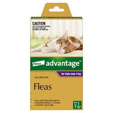 Advantage Spot On For Cats 4kg Plus Fleas 1pk