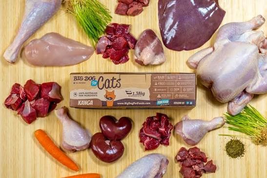 BigDog For Cats 1.38kg